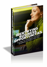 Identifying Business Opportunities