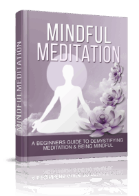 Mindful Meditation
