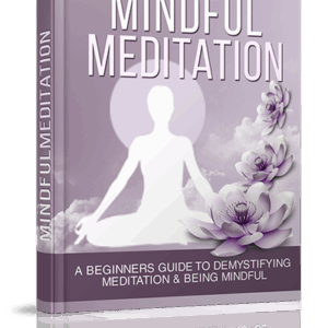 Mindful Meditation