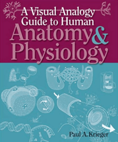 A Visual Analogy Guide to Human Anatomy & Physiology by Paul A. Krieger, 1st Edition,  ISBN-13: 978-0895828019