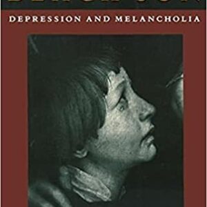 Black Sun: Depression and Melancholia by Julia Kristeva, ISBN-13: 978-0231067072