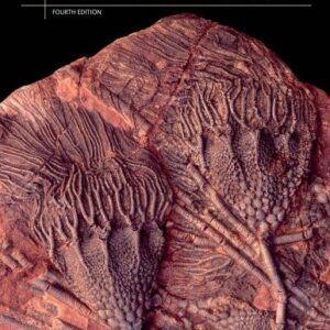 Earth System History 4th Edition by Steven M. Stanley, ISBN-13: 978-1429255264