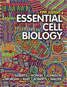 Essential Cell Biology 5th Edition by Bruce Alberts, ISBN-13: 978-0393680362