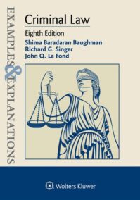 Examples & Explanations for Criminal Law 8th Edition by Richard G. Singer, ISBN-13: 978-1543839357