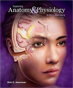 Exploring Anatomy and Physiology in the Laboratory 3rd Edition by Erin Amerman, ISBN-13: 978-1617316203