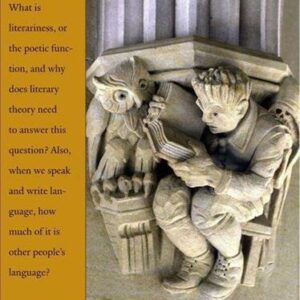 Theory of Literature by Paul H. Fry, ISBN-13: 978-0300180831