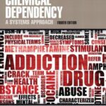 Chemical Dependency A Systems Approach 4th Edition by C. Aaron McNeece