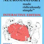 Clinical Neuroanatomy Made Ridiculously Simple 5th Edition